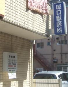 塚口獣医科医院(1)