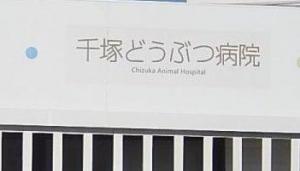 千塚どうぶつ病院(1)