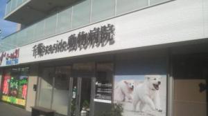 千葉seaside動物病院(1)