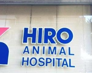 ヒロ動物病院(1)