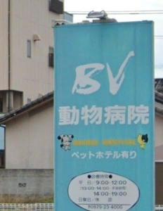 BV動物病院(1)
