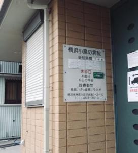 横浜小鳥の病院(1)