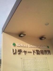 リチャード動物病院(1)