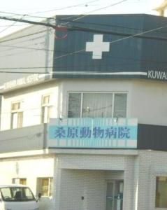 桑原動物病院(1)