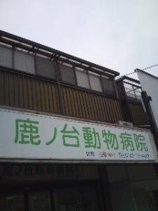 鹿ノ台動物病院(1)