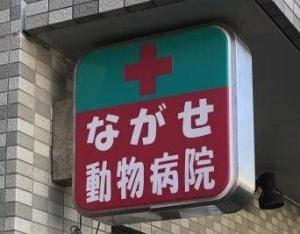 ながせ動物病院(1)