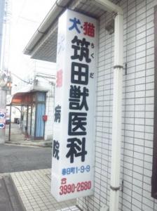 筑田獣医科医院(1)
