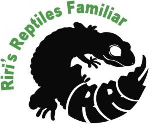Riri’s Reptiles Familiar(1)