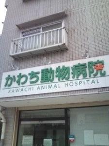 かわち動物病院(1)