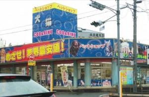 ペットショップCoo&RIKU 松山店(1)