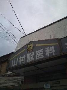 山村獣医科医院(1)