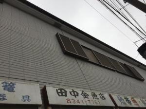 田中金魚店(1)