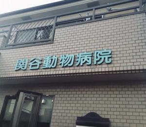 関谷動物病院(1)