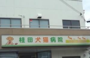 桂田犬猫病院(1)