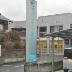 ふじさわ動物病院(1)