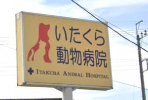 いたくら動物病院(1)