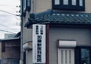 加藤獣医科医院(1)