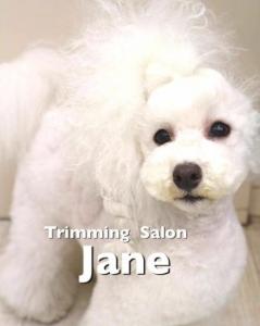Trimming Salon Jane(1)